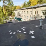 1 (16)